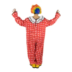 Adults Clown Costume -BodySocks Custume Sale DSC00361