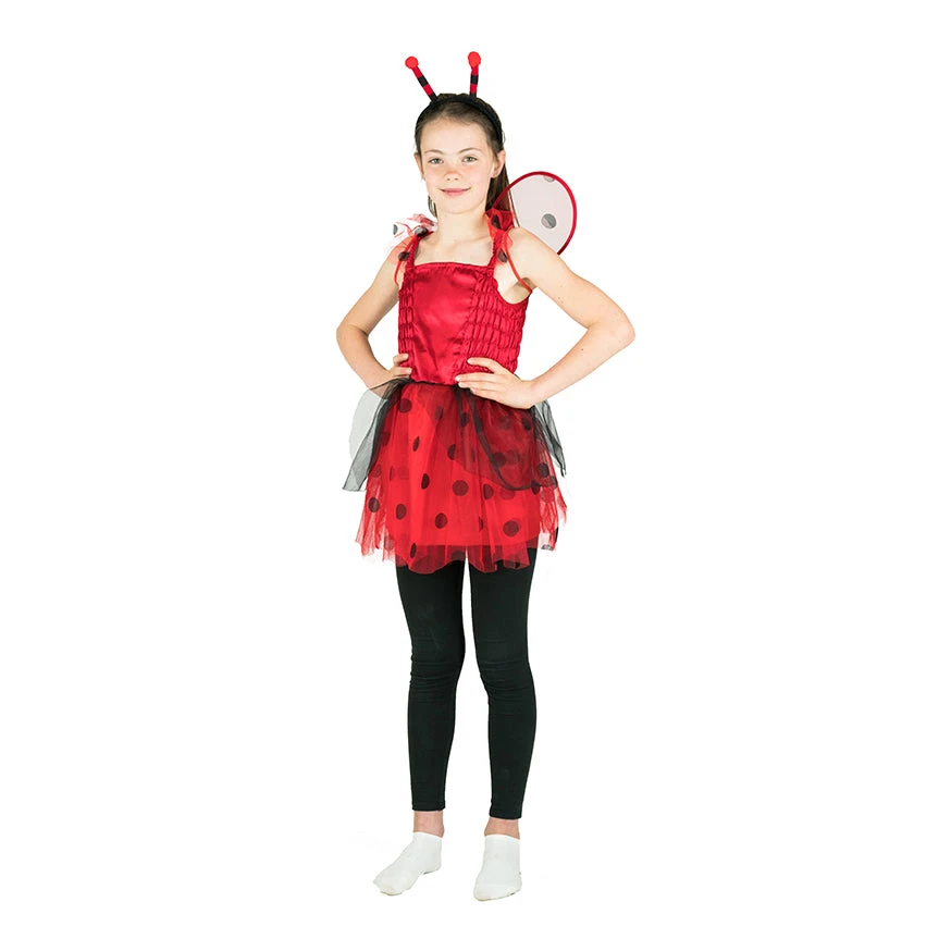 Ladybird Costume 1 Ladybird Costume