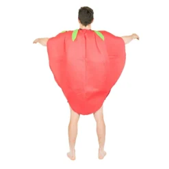 Strawberry Costume -BodySocks Custume Sale fancy dress strawberry costume 6